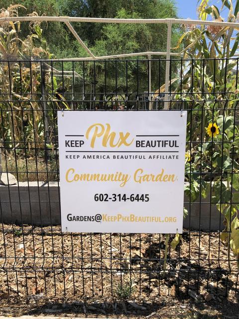 10202 N 7th Ave W #2, Phoenix, AZ 85021 photo 20