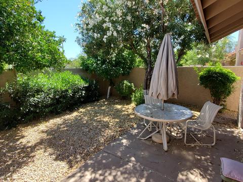 4048 E Larkspur Dr, Phoenix, AZ 85032 photo 5