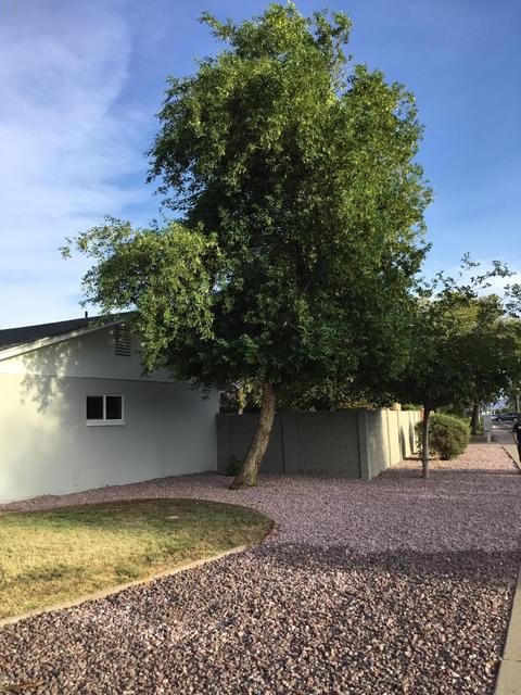 11037 W Devonshire Ave, Phoenix, AZ 85037 photo 16