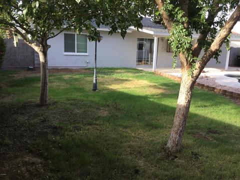 11037 W Devonshire Ave, Phoenix, AZ 85037 photo 11