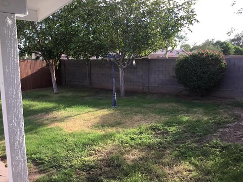 11037 W Devonshire Ave, Phoenix, AZ 85037 photo 8