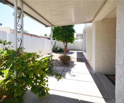 921 E Michelle Dr, Phoenix, AZ 85022 photo 14