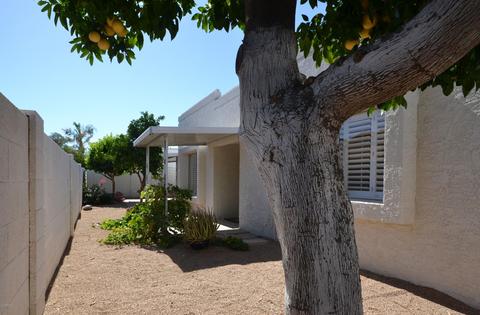 921 E Michelle Dr, Phoenix, AZ 85022 photo 13