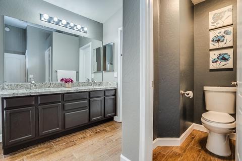 9139 Encanto St, Mesa, AZ 85207 photo 15