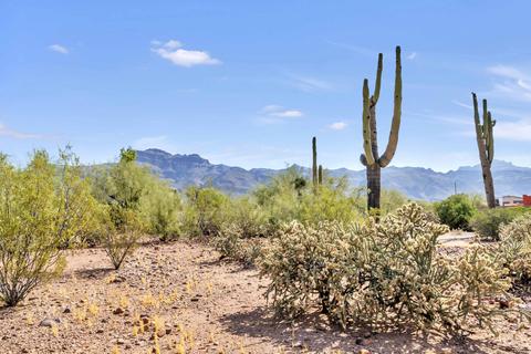 5850 E 22nd Ave, Apache Junction, AZ 85119 photo 22