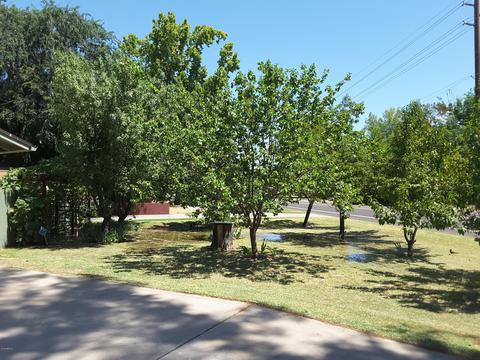 8048 N 15th Ave, Phoenix, AZ 85021 photo 5