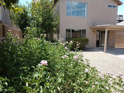 4032 E Coolbrook Ave, Phoenix, AZ 85032 photo 2