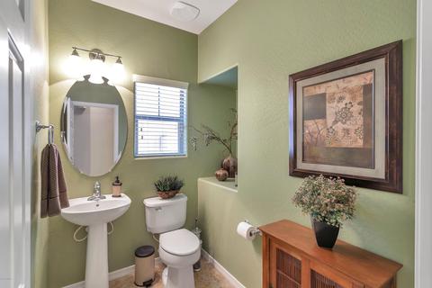 3966 E Melinda Dr, Phoenix, AZ 85050 photo 8