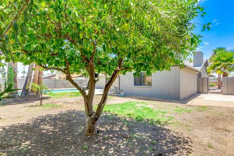 4464 E Sharon Dr, Phoenix, AZ 85032 photo 43