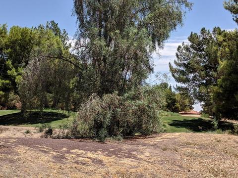 3204 E Maldonado Dr, Phoenix, AZ 85042 photo 6