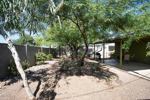3639 E Harvard St, Phoenix, AZ 85008 photo 16