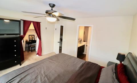 2575 E Camellia Dr, Gilbert, AZ 85296 photo 63