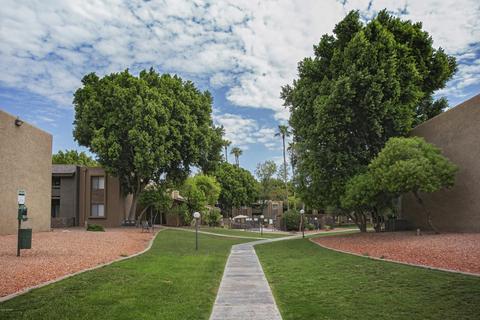 3825 E Camelback Rd #240, Phoenix, AZ 85018 photo 21