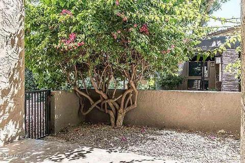 3825 E Camelback Rd NE #178, Phoenix, AZ 85018 photo 6