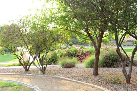 3555 E Santa Fe Ln, Gilbert, AZ 85297 photo 45