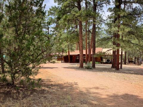 2870 Markham Rd, Overgaard, AZ 85933 photo 3