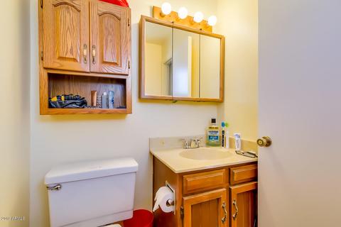 2534 E Baltimore St, Mesa, AZ 85213 photo 19