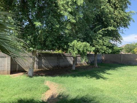 3412 E Roma Ave, Phoenix, AZ 85018 photo 16
