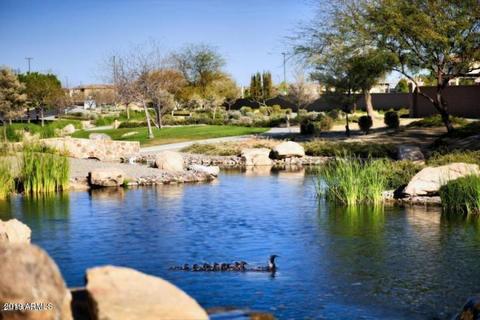 3296 E Azalea Dr, Gilbert, AZ 85298 photo 57