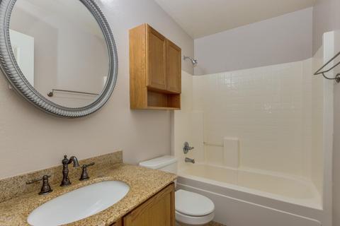 10661 Emerald Ave, Mesa, AZ 85208 photo 20