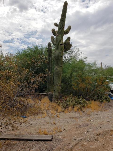 2308 E Desert Ln, Phoenix, AZ 85042 photo 35