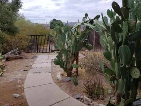 2308 E Desert Ln, Phoenix, AZ 85042 photo 49