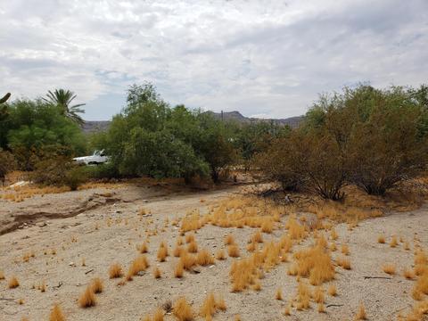 2308 E Desert Ln, Phoenix, AZ 85042 photo 16