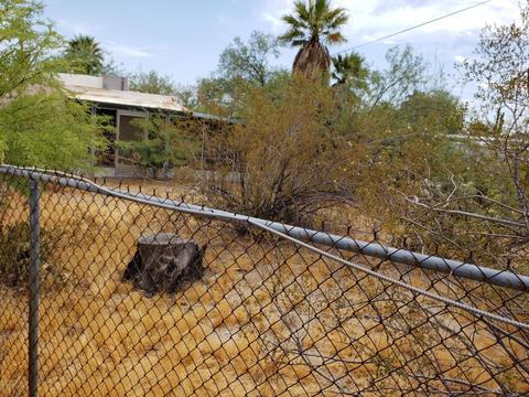 2308 E Desert Ln, Phoenix, AZ 85042 photo 29