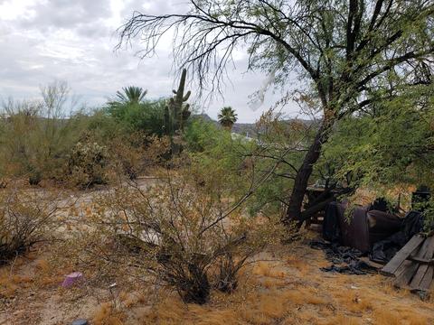 2308 E Desert Ln, Phoenix, AZ 85042 photo 3