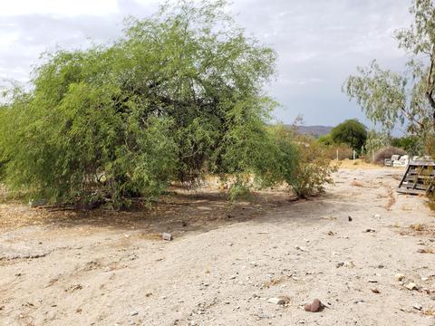 2308 E Desert Ln, Phoenix, AZ 85042 photo 14