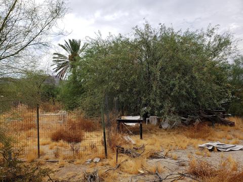 2308 E Desert Ln, Phoenix, AZ 85042 photo 36