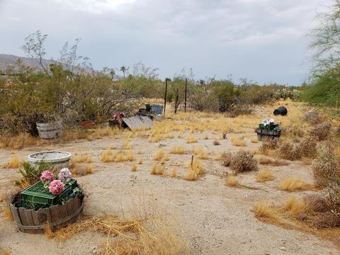 2308 E Desert Ln, Phoenix, AZ 85042 photo 8
