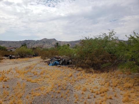 2308 E Desert Ln, Phoenix, AZ 85042 photo 11