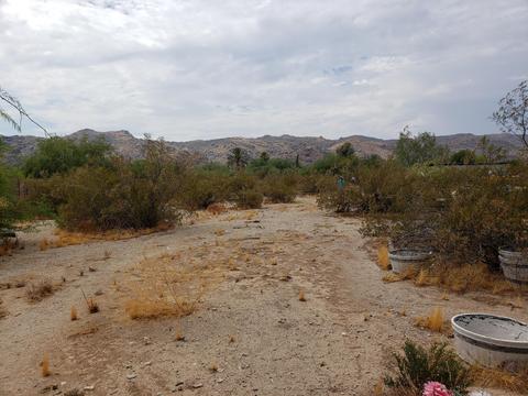 2308 E Desert Ln, Phoenix, AZ 85042 photo 9