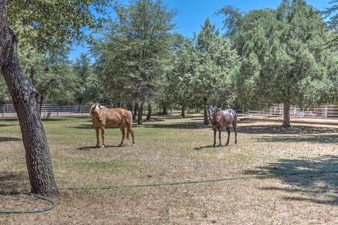 704 E Tyler Pkwy, Payson, AZ 85541 photo 10