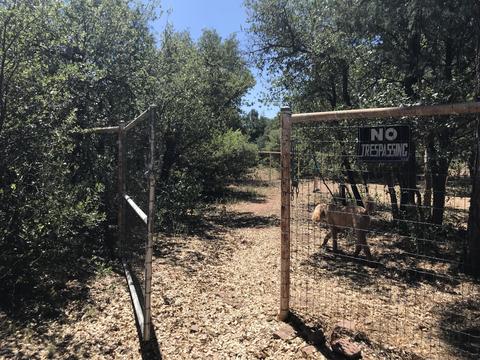 704 E Tyler Pkwy, Payson, AZ 85541 photo 48