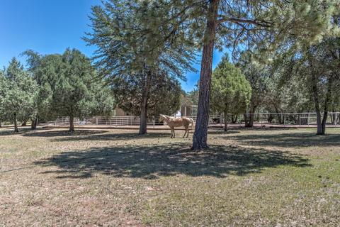 704 E Tyler Pkwy, Payson, AZ 85541 photo 12