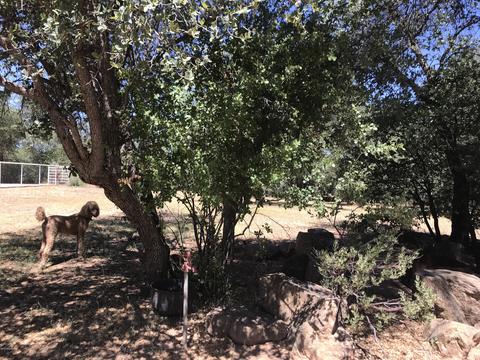 704 E Tyler Pkwy, Payson, AZ 85541 photo 50