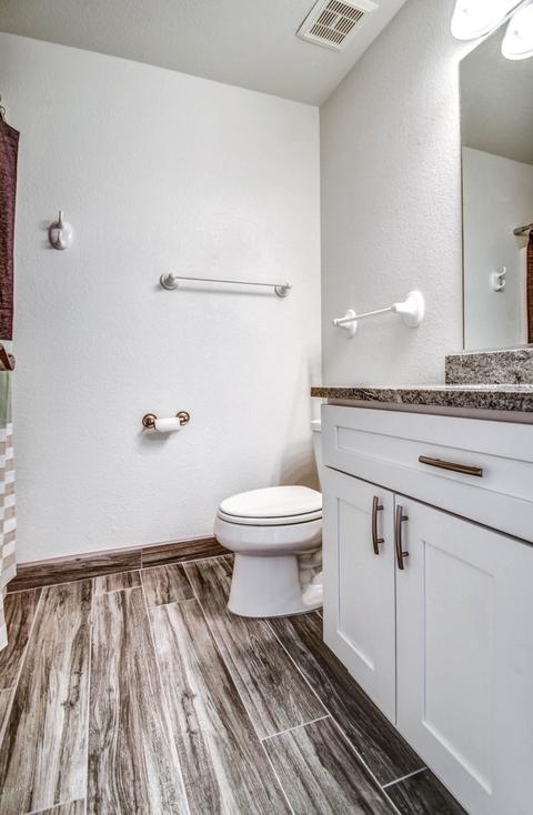10442 E Bramble Ave, Mesa, AZ 85208 photo 21