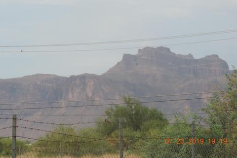 930 E Desert Ave, Apache Junction, AZ 85119 photo 50
