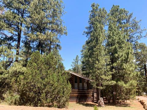 1908 Twin Pines Trl, Overgaard, AZ 85933 photo 15