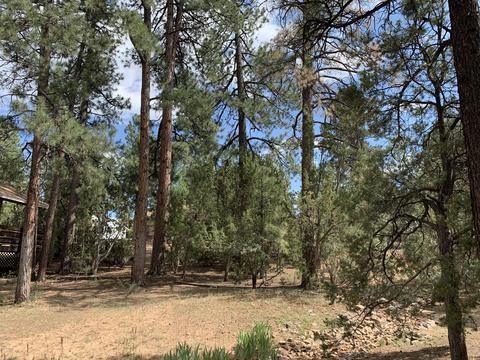 1908 Twin Pines Trl, Overgaard, AZ 85933 photo 17