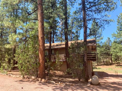 1908 Twin Pines Trl, Overgaard, AZ 85933 photo 12