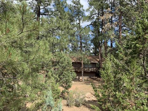1908 Twin Pines Trl, Overgaard, AZ 85933 photo 14