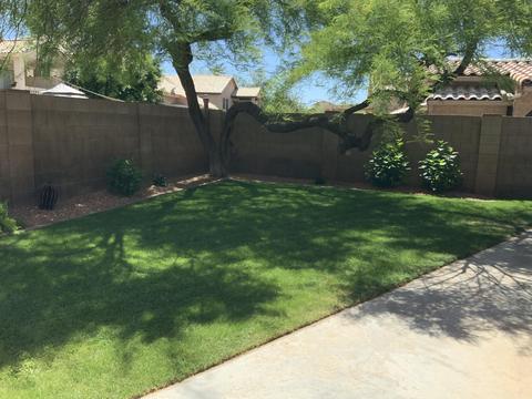 4121 E Silverwood Dr, Phoenix, AZ 85048 photo 23