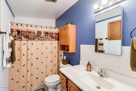 357 S Thunderbird Dr, Apache Junction, AZ 85120 photo 11