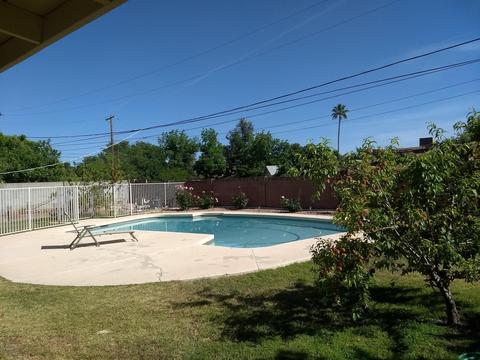 2021 E Montebello Ave, Phoenix, AZ 85016 photo 28