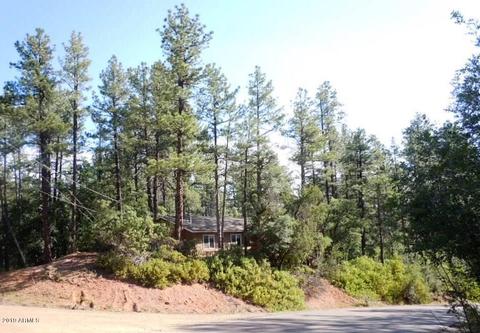 3596 N Pine View Dr, Pine, AZ 85544 photo 28