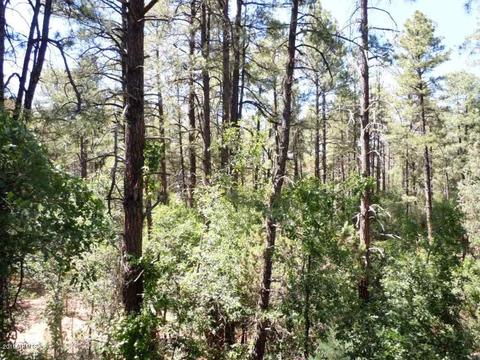 3596 N Pine View Dr, Pine, AZ 85544 photo 26
