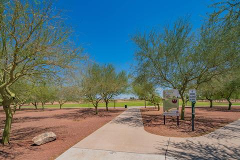 2921 E Blackhawk Dr, Phoenix, AZ 85050 photo 20